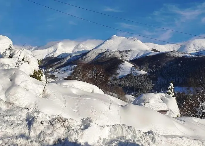 Villa Le Bois Saint-Jacques-des-Blats